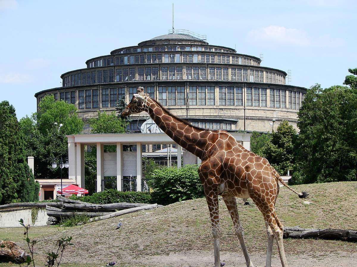  Wroclaw_zoo_and_centennial_Hall.JPG
